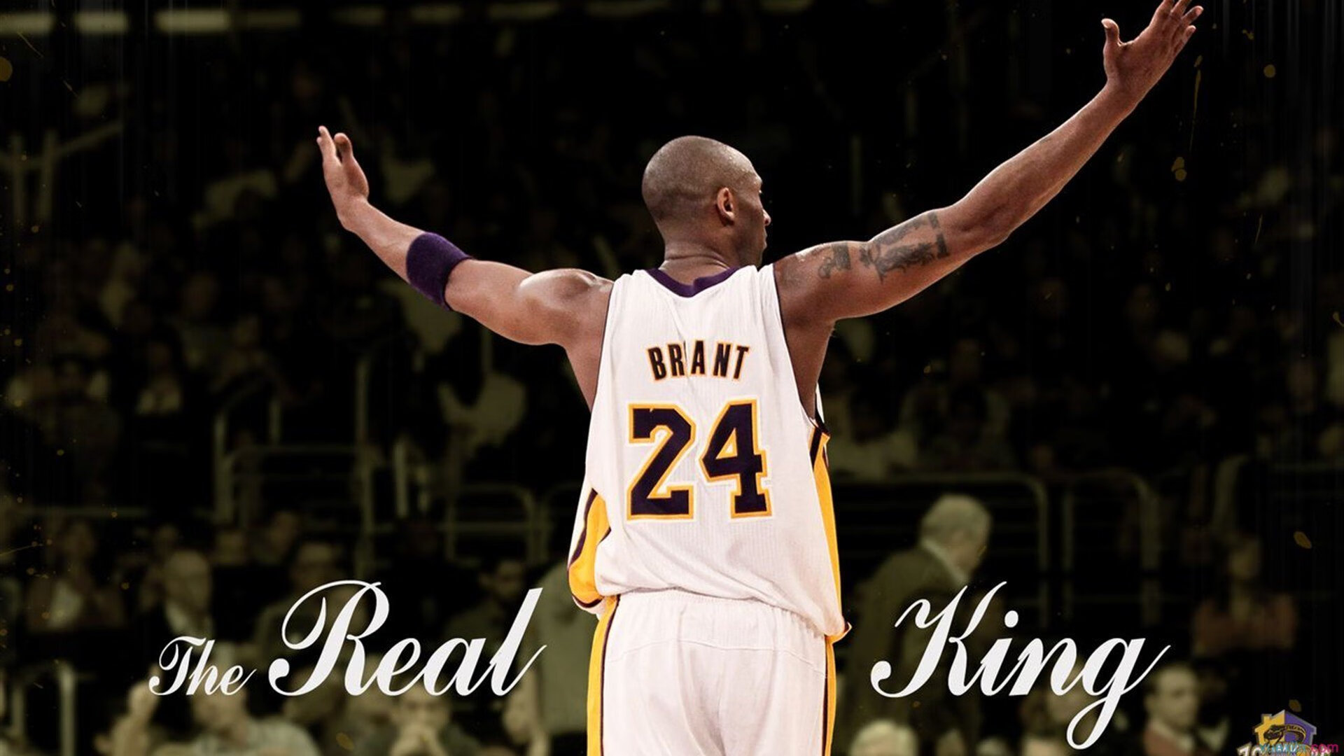 赛季最佳“冷门”队伍：中国球队崭露头角，冷门球员